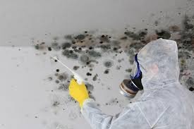 Best Real Estate Mold Inspection  in Emigsville, PA